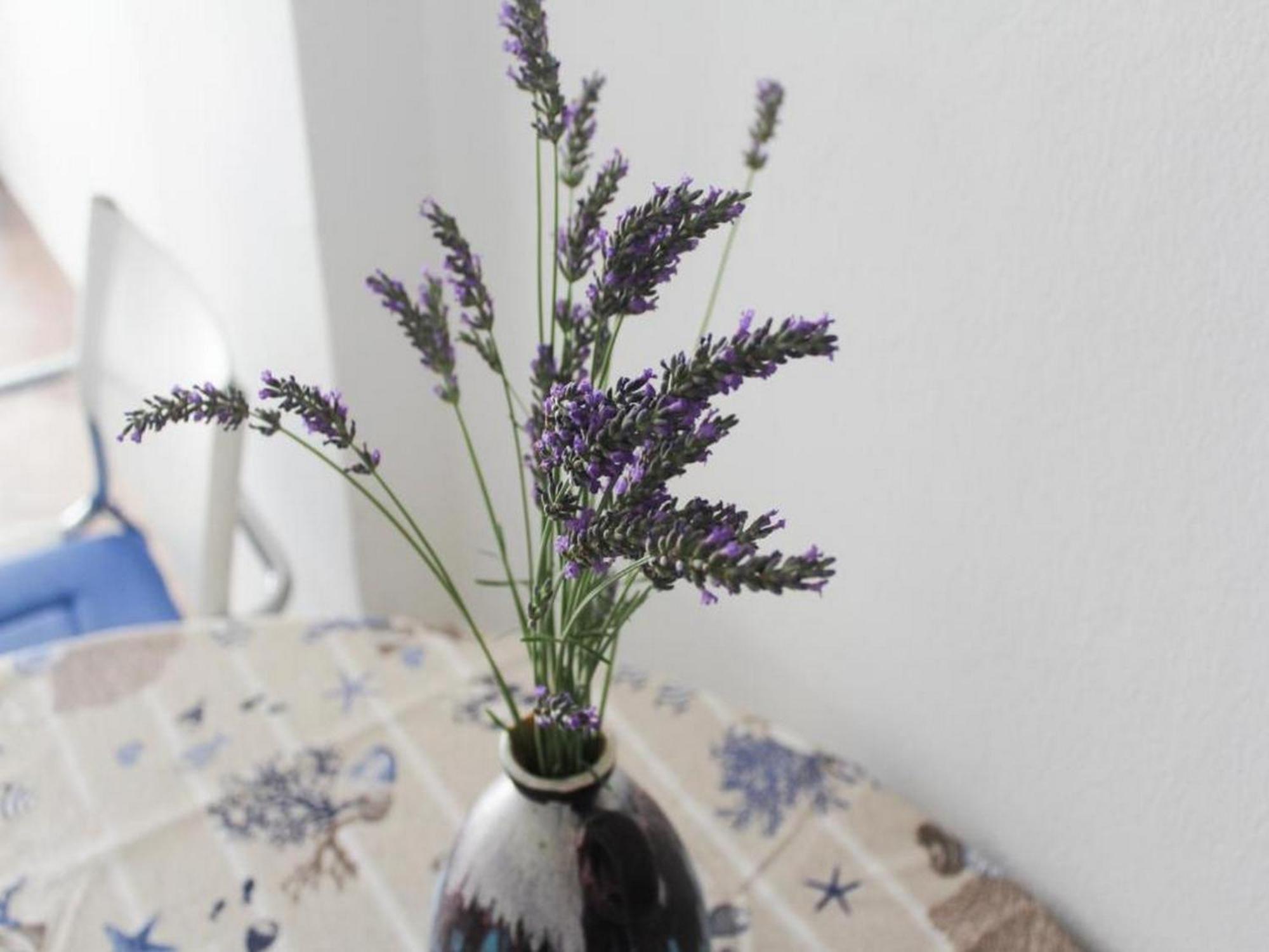 Apartmani Lucia Biograd Biograd Na Moru Kamer foto
